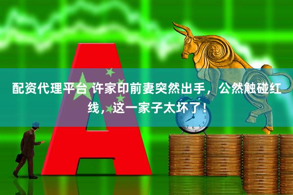 配资代理平台 许家印前妻突然出手，公然触碰红线，这一家子太坏了！