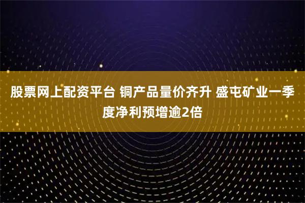 股票网上配资平台 铜产品量价齐升 盛屯矿业一季度净利预增逾2倍